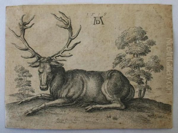 A Stag Lying - view 1