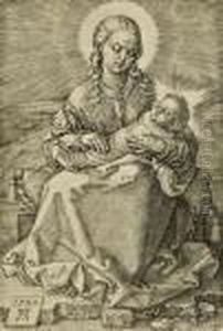 Die Jungfrau Mit Dem Wickelkind (the Virgin With The Infant In Swaddling) by Albrecht Durer