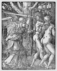 Vertreibung Aus Dem Paradies by Albrecht Durer