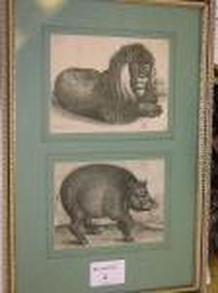 Recumbent Lion - view 1