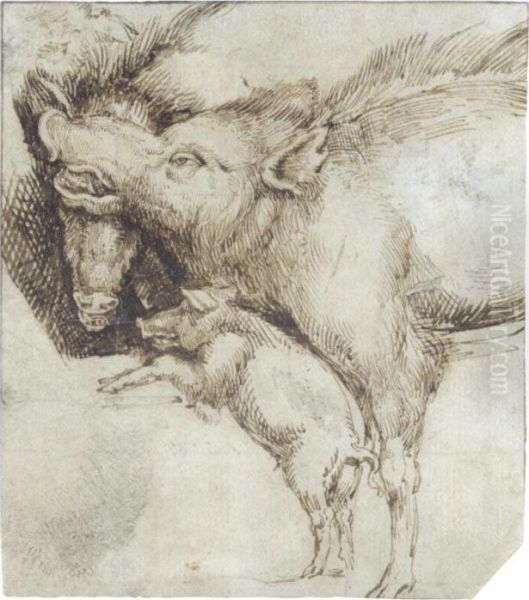 Study Of Two Swine And A Piglet - view 1