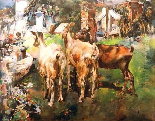 Goats - view 1