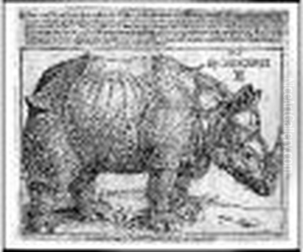 Le Rhinoceros. 1515. - view 1
