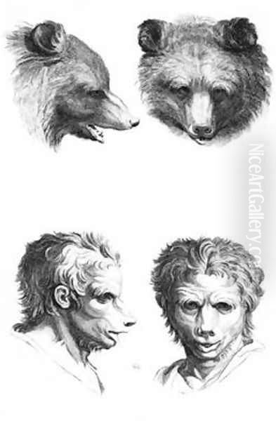 Similarities between the head of a bear and a man - view 1