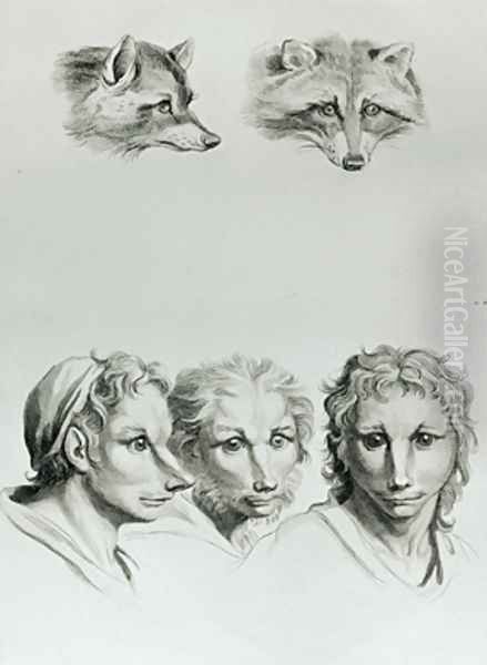 Similarities Between the Head of a Fox and a Man - view 1