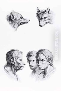 Similarities Between the Head of a Wolf and a Man by Charles Le Brun