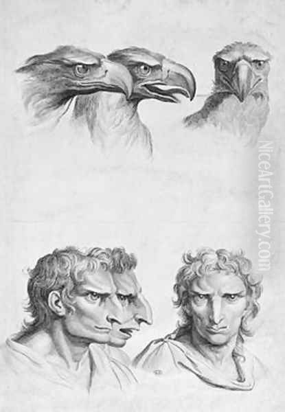 Similarities Between the Head of an Eagle and a Man - view 1
