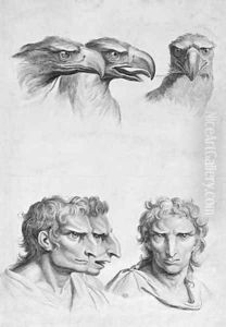 Similarities Between the Head of an Eagle and a Man by Charles Le Brun