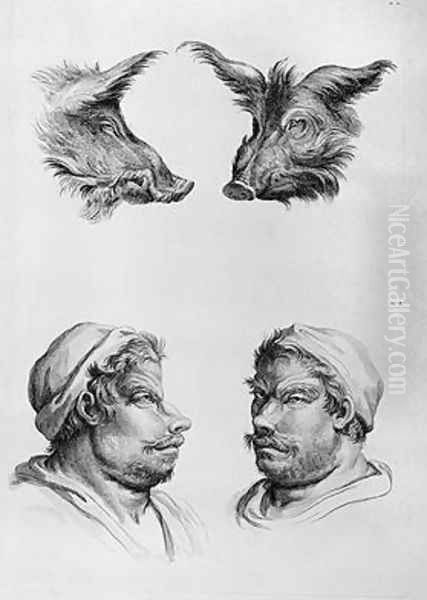 Similarities Between the Head of a Boar and a Man - view 1