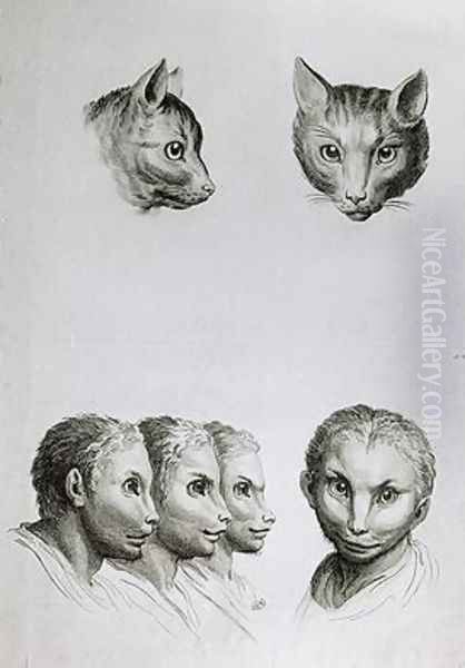 Similarities Between the Head of a Cat and a Man - view 1