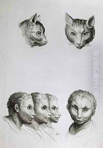 Similarities Between the Head of a Cat and a Man by Charles Le Brun