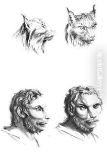 Similarities between the heads of a lynx and a man by Charles Le Brun