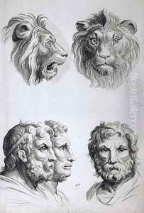 Similarities Between the Head of a Lion and a Man