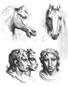 Similarities between the heads of a horse and a man by Charles Le Brun