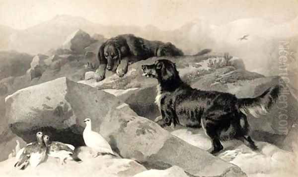 The ptarmigan hill - view 1