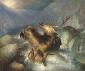 Deer and deerhounds in a mountain torrent