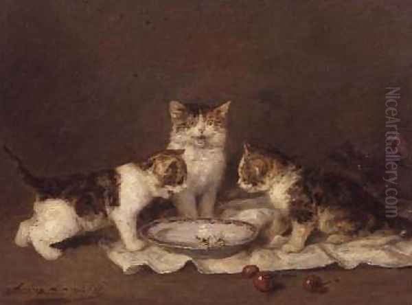 Three cats red cherries and bees - view 1