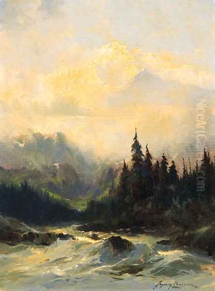 Rapids of the Tokosheetna River - view 1