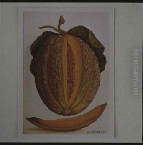 Melon