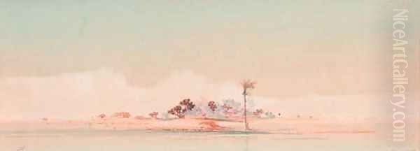On the upper Nile - view 1