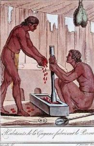 Inhabitants of French Guyana preparing Annatto by L.F. Labrousse