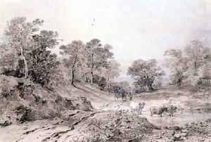 A Country Road between Trees by Amelia Long