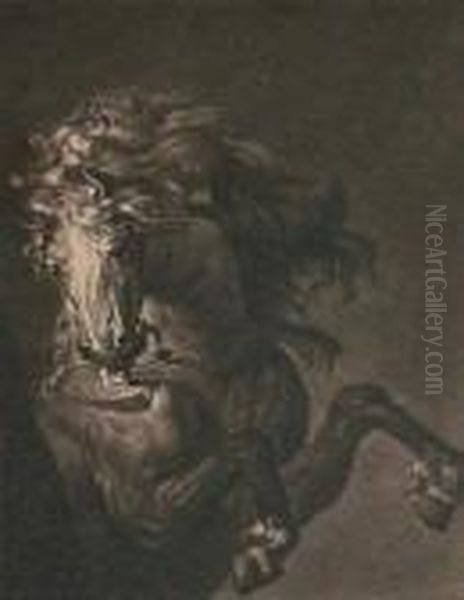 "a
Horse's Head" - view 1