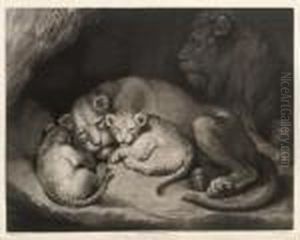 Lioness And Whelp's. The Young Were Welp'd In The Tower Of London In The Year 1792