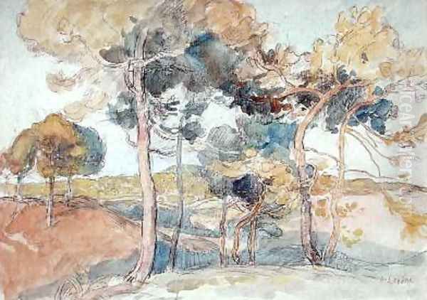 The Great trees - view 1