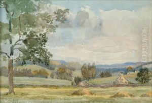Landscape Landscape