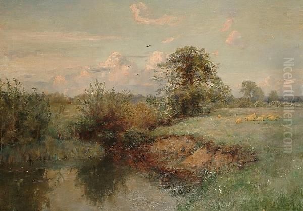 Sheep In A Water Meadow - view 1