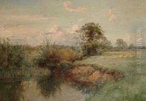 Sheep In A Water Meadow