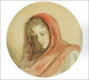 Lady