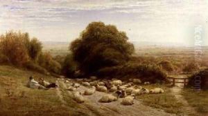The Sunny Side of a Shepherds Life Near Eastbourne 1873 by William Snr Luker