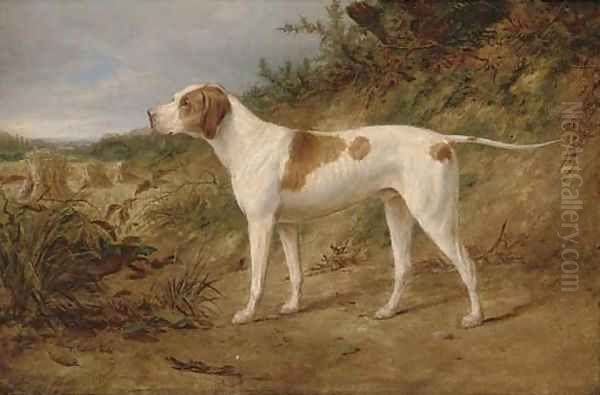 The stud pointer Major - view 1