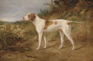 The stud pointer Major by William Snr Luker
