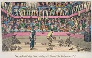 The Celebrated Dog Billy Killing 100 Rats at the Westminster Pit by Theodore Lane