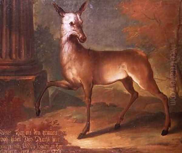 A roe deer 1738 - view 1
