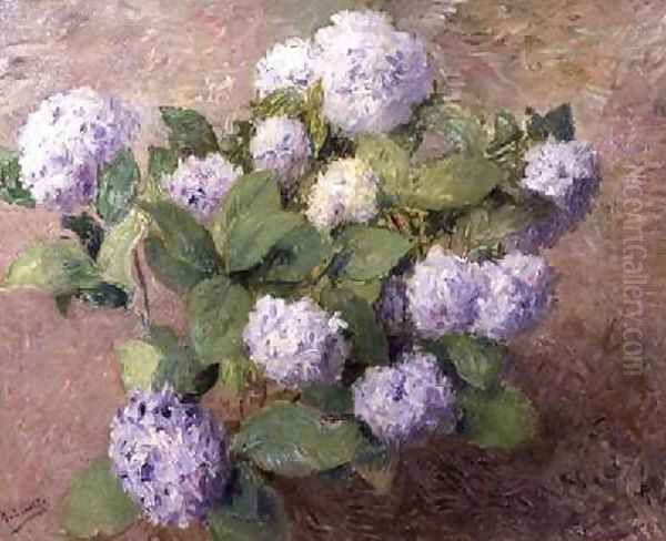 Blue Hydrangeas - view 1