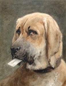 Mastiff Holding A Calling Card In His Mouth