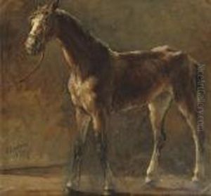 A Brown Foal by Otto Eerelman