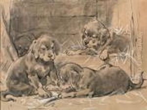 Drie Sint Bernard Puppies