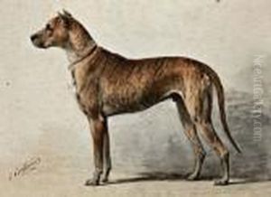 Duitse Dog by Otto Eerelman