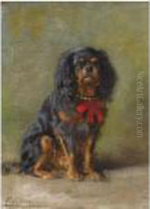 A Black And Tan King Charles Spaniel