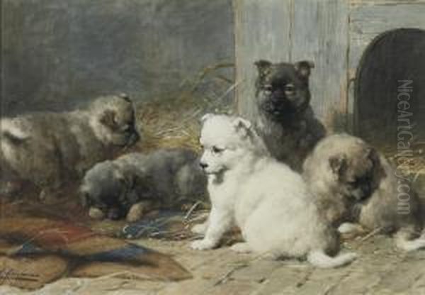 Sweet Pups - view 1