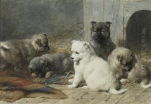 Sweet Pups