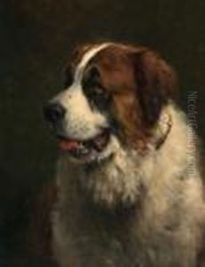 St. Bernhardshond