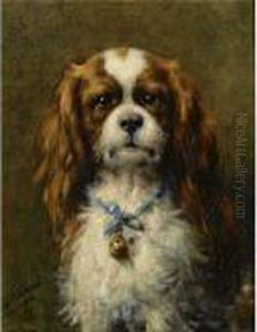 A King Charles Spaniel With A Blue Ribbon