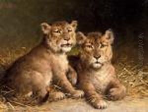 The Little Lions by Otto Eerelman