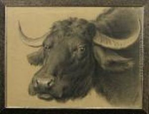 Portrait Eines Buffels by Otto Eerelman